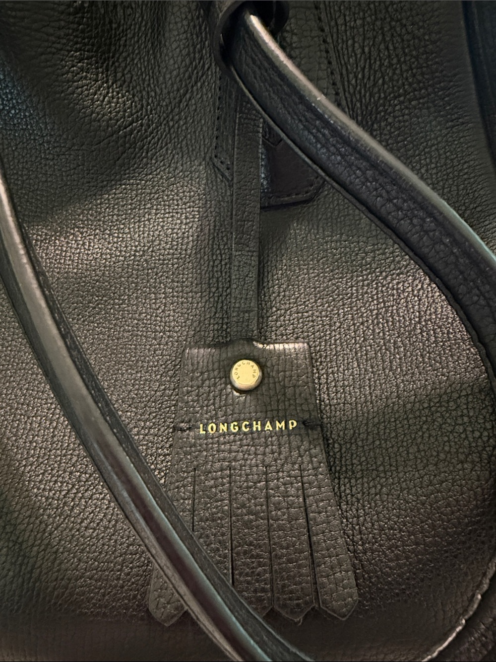 Longchamp Penelope Leather Bag - Picture 2 of 5